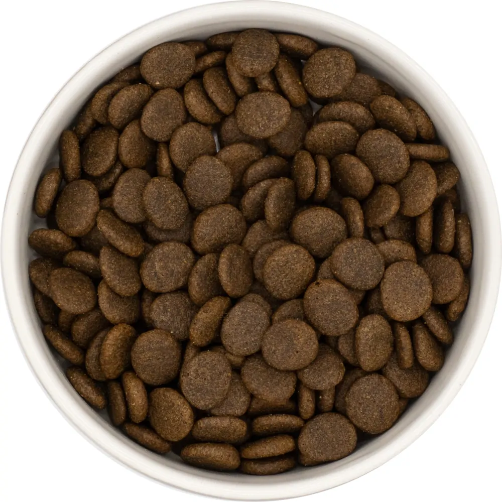 HAFFUN Dospelý pes Light Grain-Free - Pstruh s lososom 12kg