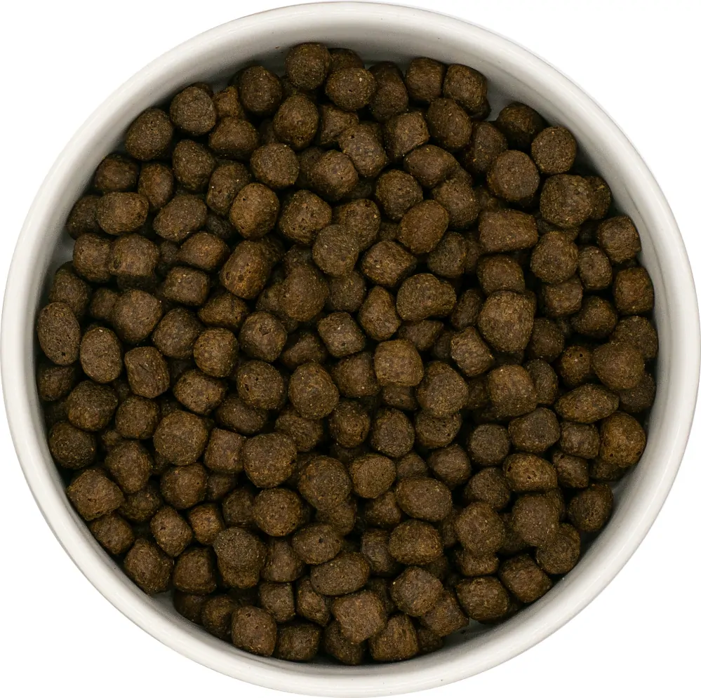 HAFFUN Šteňa Grain-Free - Losos s treskou 15kg