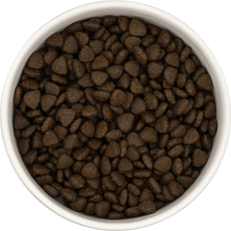 HAFFUN Šteňa Active - Škótsky losos 12kg