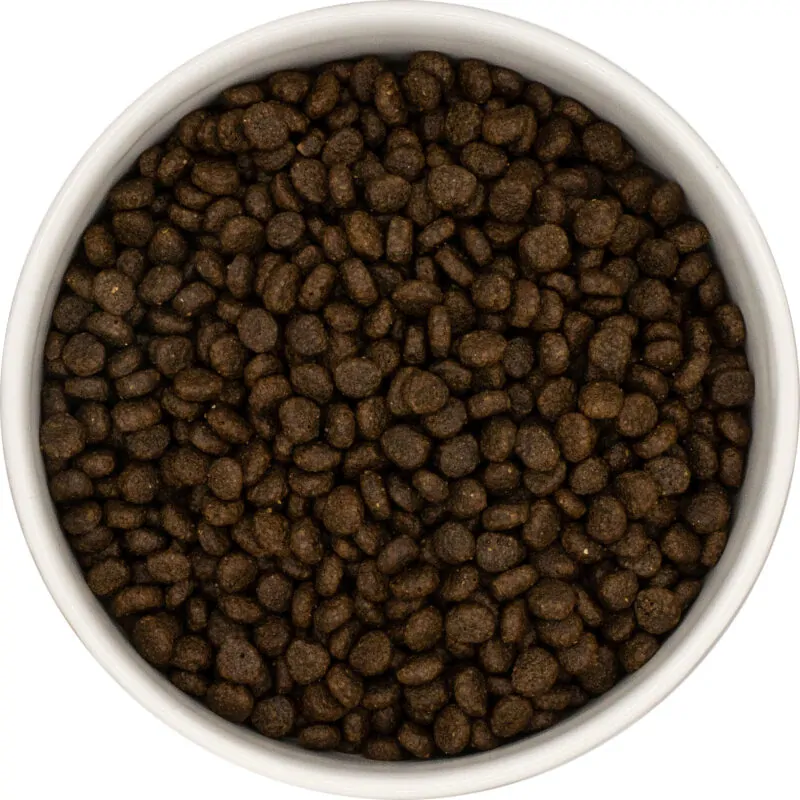 HAFFUN Dospelý pes malé plemeno Grain-Free - Losos so pstruhom 6kg