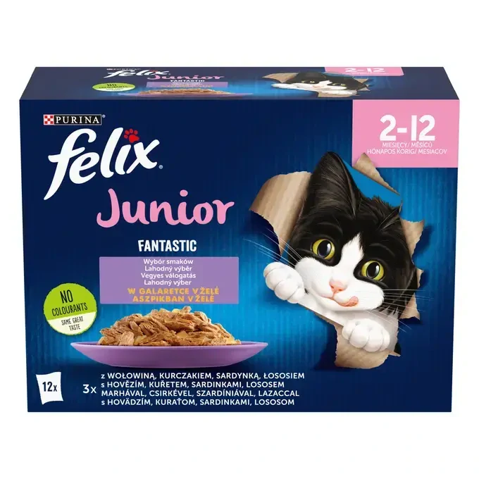 FELIX® Fantastic Junior multipack 12×85 g