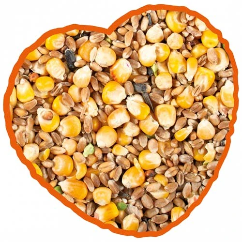 DUVO+ Kŕmna zmes pre hydinu s kukuricou 20kg