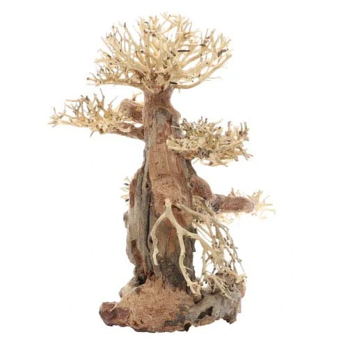 DUPLA Bonsai L -Prírodná drevená dekorácia do sladkovodného akvária 40x20x30 cm