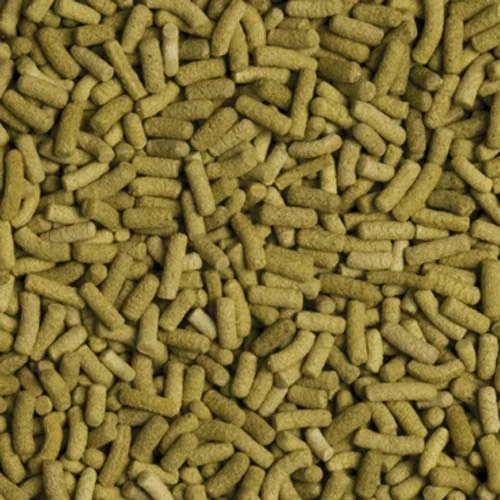 TROPICAL Biorept L 500ml/140g krmivo pre suchozemské korytnačky