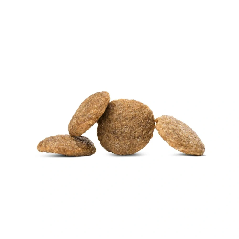 HAPPY DOG VET INTESTINAL LOW FAT 4KG 