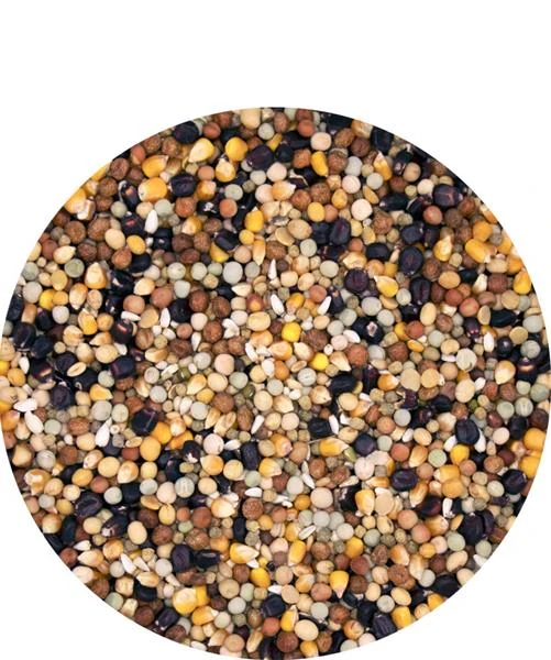 VL Holuby Black Label Štart 20 kg