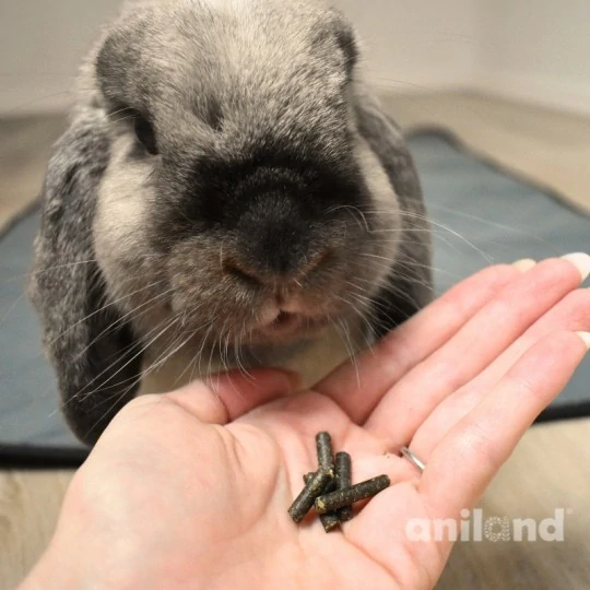 Prémiové bezobilné granule pro králíky ANILAND FITBUNNY 1000 g