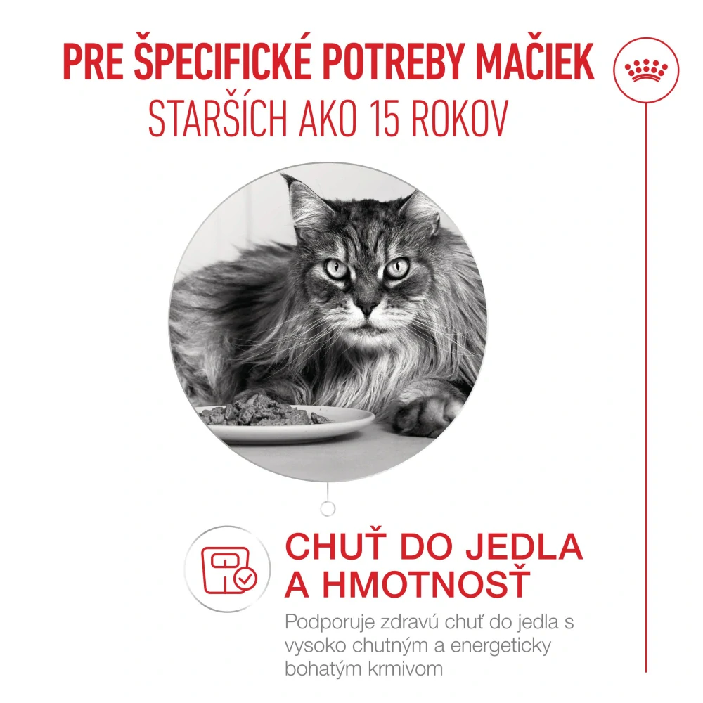 FHN Cat Ageing 15+ 0,4 kg
