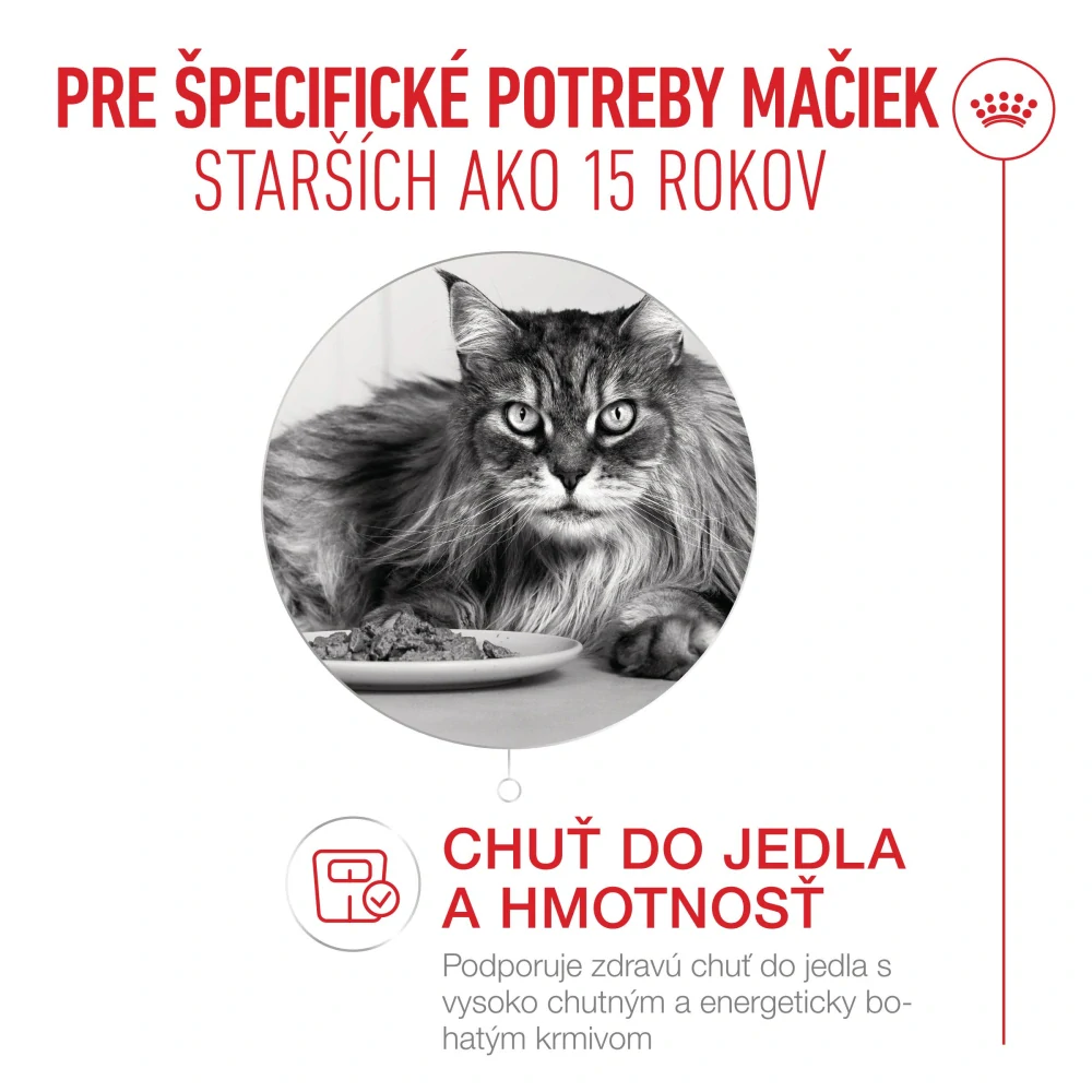 FHN Cat Ageing 15+ Gravy 