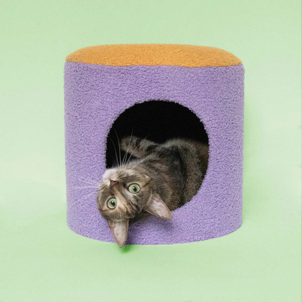 COOCKOO Happy House Domček pre mačky 35x35x35cm fialový/oranžový