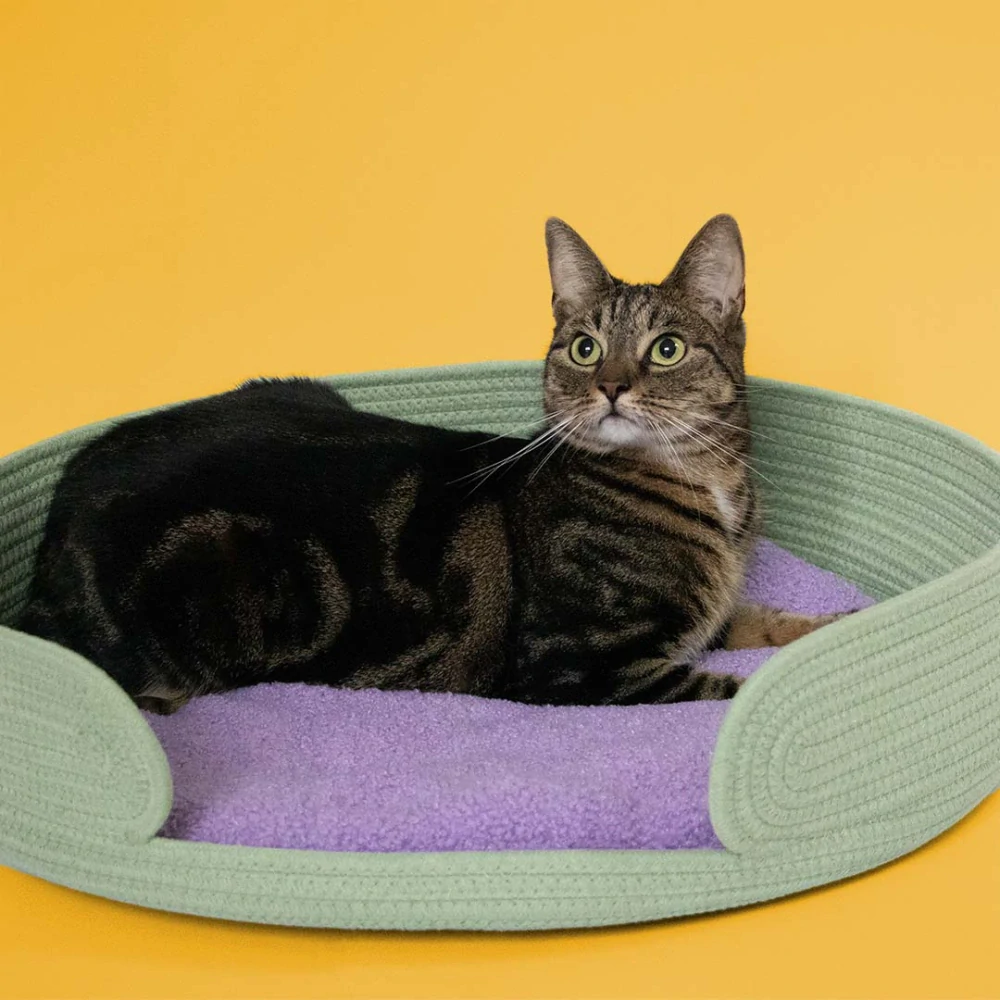 COOCKOO Lazy Lounge Pohodlný košík pre mačky 55x55x12cm zelený