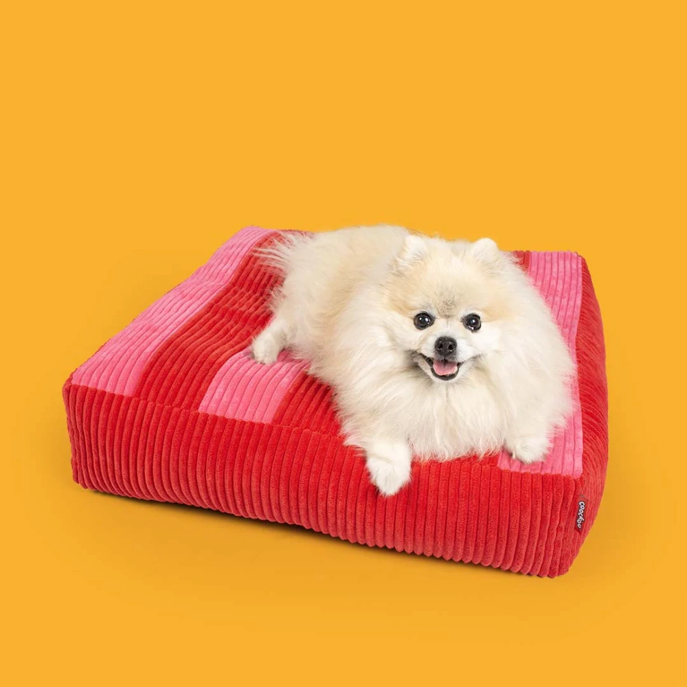 COOCKOO COZY STRIPE Menčestrový vankúš pre psov S 60x50x10cm červený/ružový