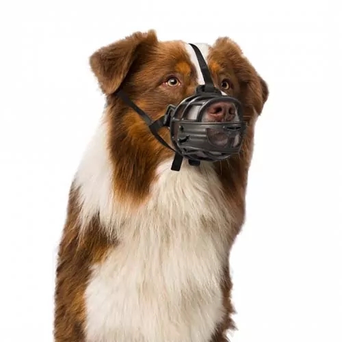 DUVO+ Plastový náhubok: Beagle, Cocker Spaniel, Border Collie, Poodle