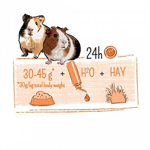 WITTE MOLEN PUUR morča 700g