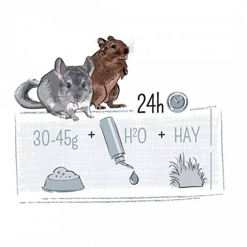 WITTE MOLEN PUUR činčila a degu 500g