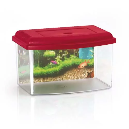 COBBYS PET Akvárium plastové 1, s krytom a pozadím 22x16x14cm 3l