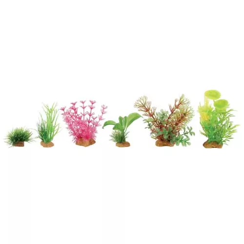 ZOLUX Set umelých rastlín BOX 6ks - typ 4