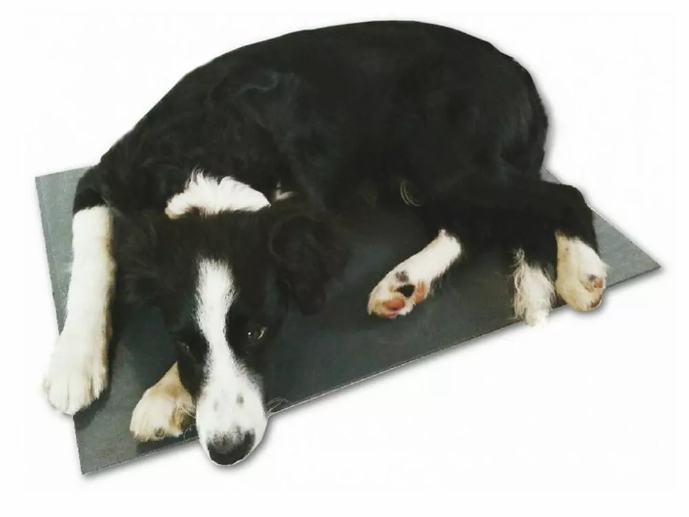 Výhrevná podložka pre psov THERMODOG 3113017 - vykurovacia doska 40X60cm