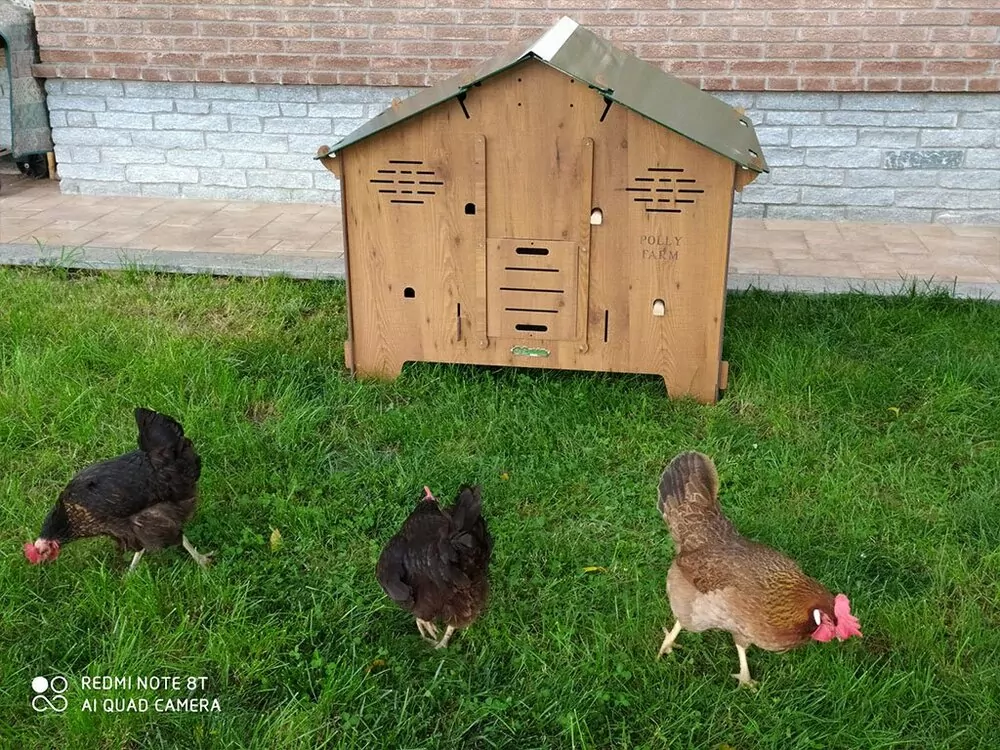 Kurín pre sliepky POLLY FARM 2XL