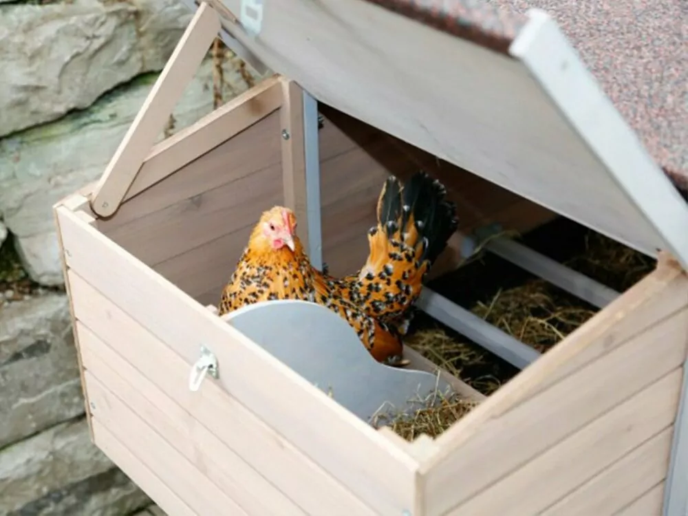 Kurín pre sliepky KERBL BONNY