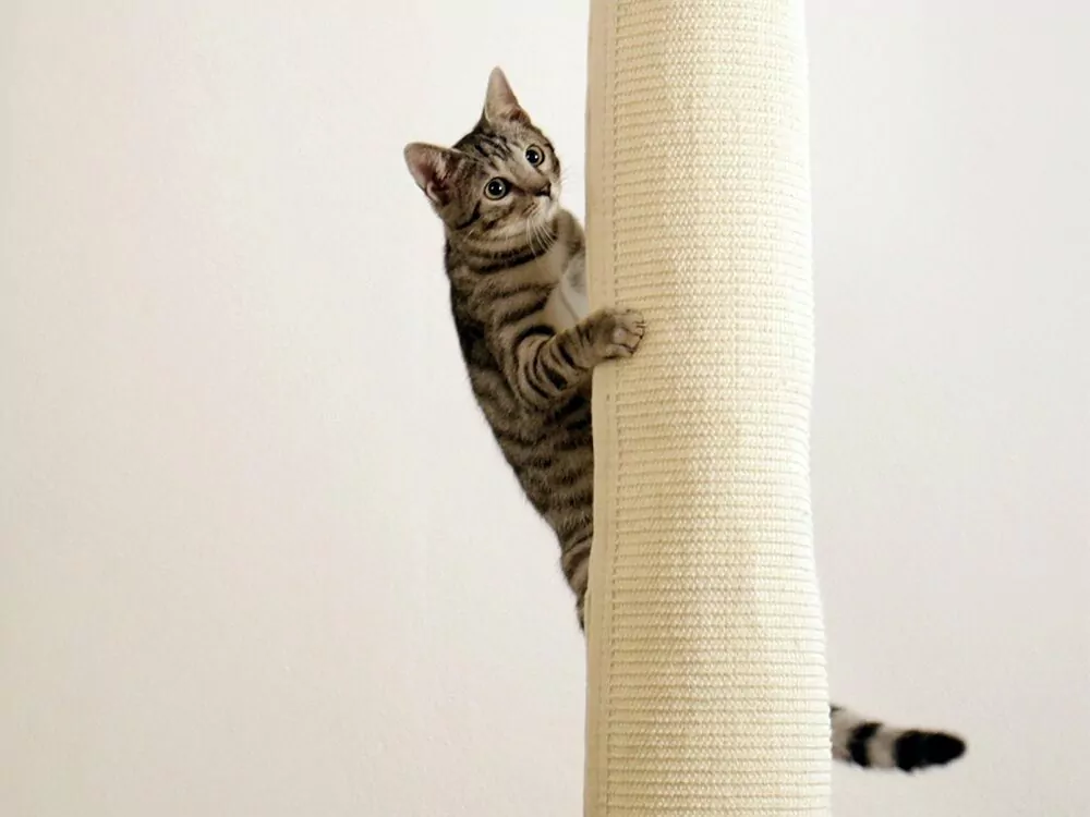 Škrabadlo pre mačky KERBL BAG CLIMBER - sisalové, závesné 260x16x16 cm