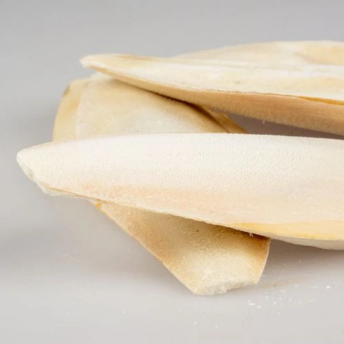 DUVO+ Originálna sepiová kosť sypaná 5kg +/- 15-28cm