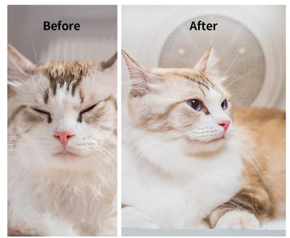 Petkit AirSalon Max Pro sušič srsti