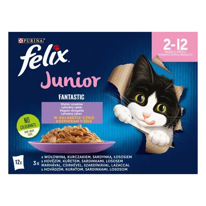 FELIX® Fantastic Junior multipack 12×85 g
