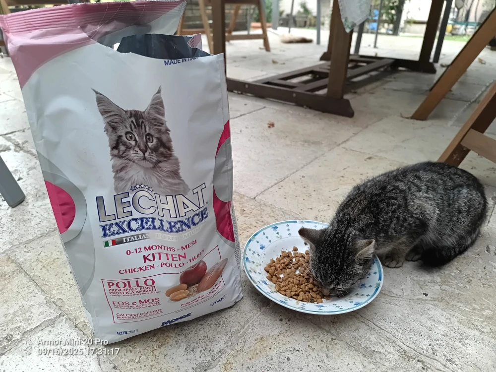 MONGE LECHAT EXCELLENCE KITTEN 1,5kg 35/15 superprémiové krmivo pre mačiatka