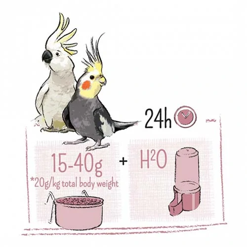 WITTE MOLEN PUUR stredné papagáje 750g