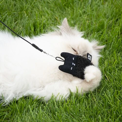 EBI D&D I LOVE HAPPY CATS Alfie- plyšová hračka pe mačky 11x5x1,5cm mix farieb