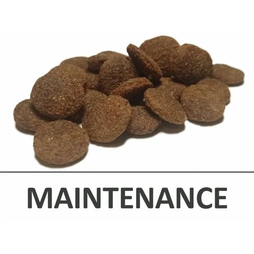 DELIKAN MAXIMO Maintenance 22/10 20kg prémiové krmivo s hydinovým mäsom pre dospelé psy stredných a veľkých plemien