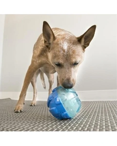 Hračka Kong Dog Rewards Míč plniaci, modrá, guma termoplastická, L - priemer 10,5 cm