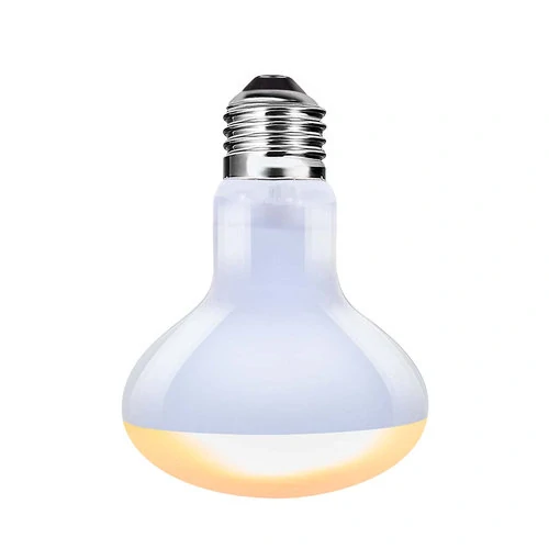 TERRA DELLA Heat lamp daylight 100W 8x12,1cm denná výhrevná žiarovka