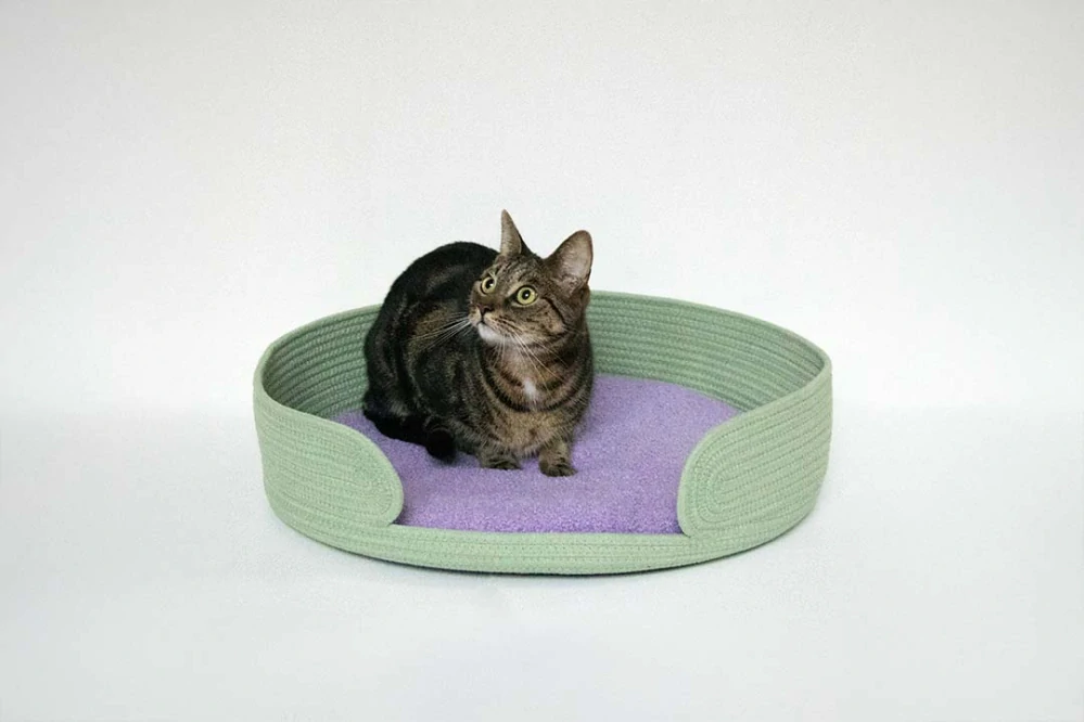 COOCKOO Lazy Lounge Pohodlný košík pre mačky 55x55x12cm zelený