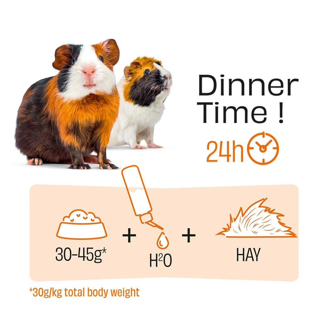 PUUR krmivo pre morčatá 8kg