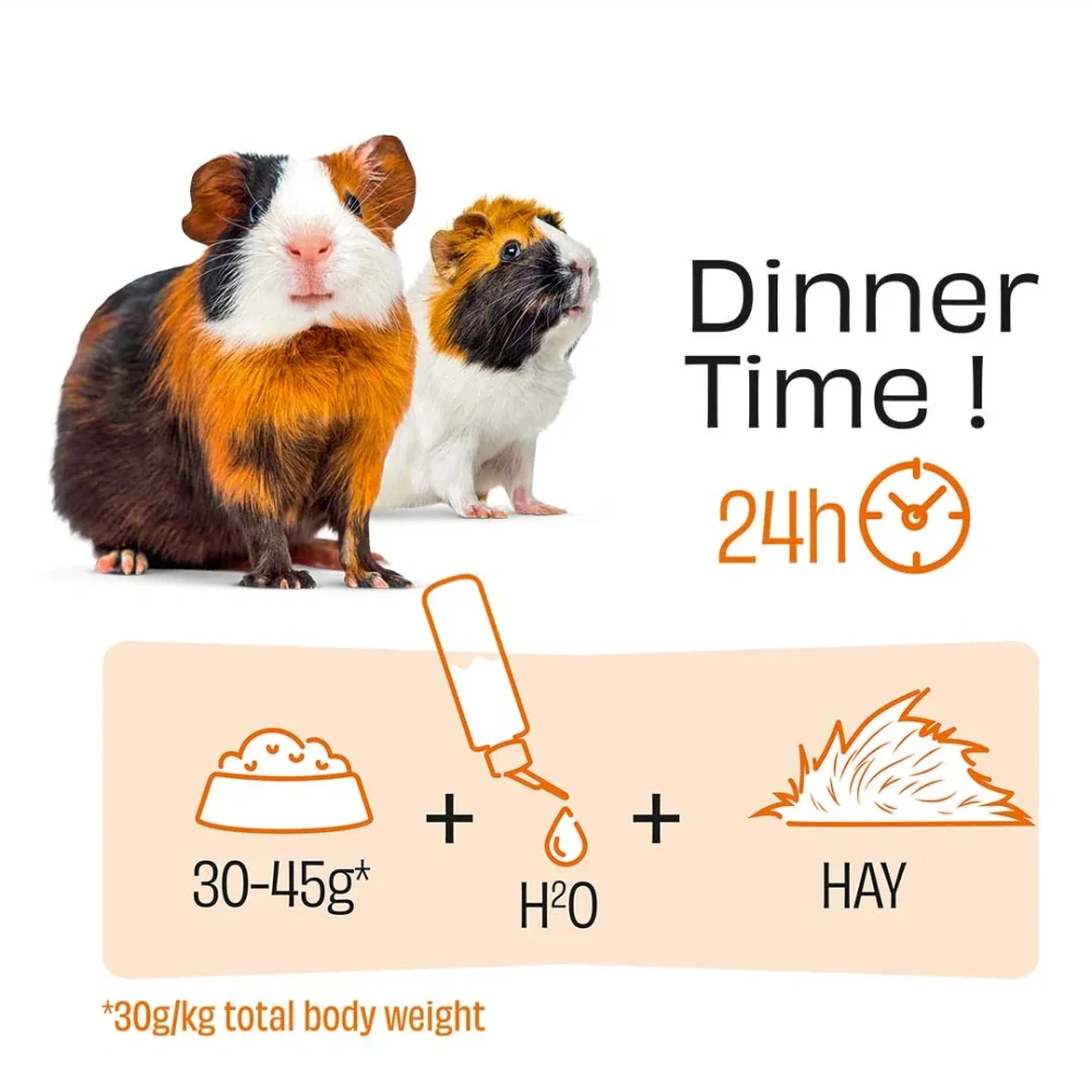 PUUR krmivo pre morčatá 2,5kg