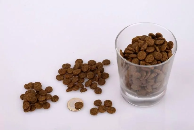 Marp Holistic Lamb v zásobníku 4kg