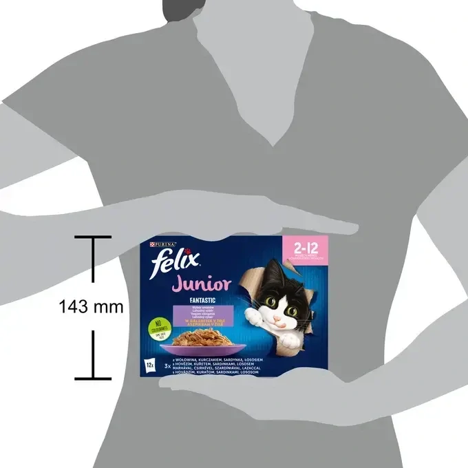 FELIX® Fantastic Junior multipack 12×85 g