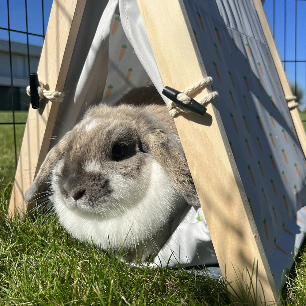 DUVO+ Stan pre drobné hlodavce 35x41x43,5cm s mrkvovým motívom