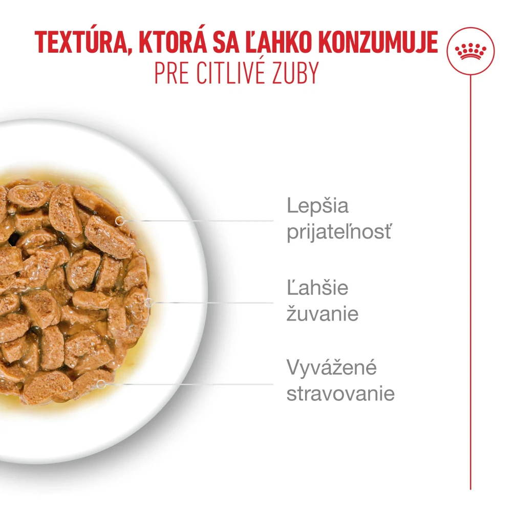 FHN Cat Ageing 11+ Gravy