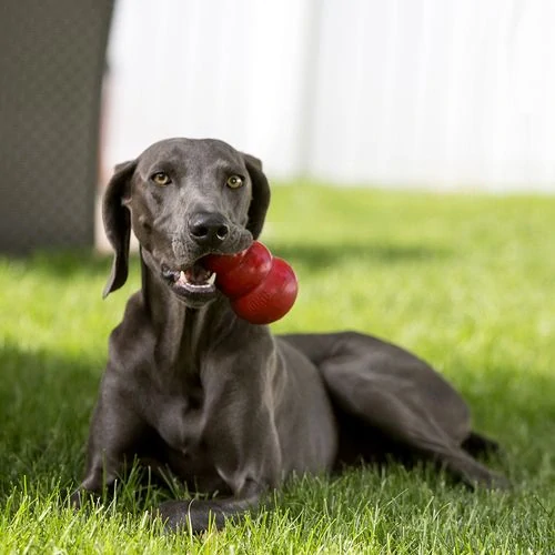 KONG Classic gumená hračka pre psov L 11x7x7cm červená