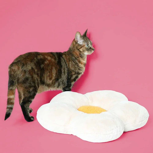 COOCKOO LAZY DAISY Mäkký vankúš pre mačky 50x50x8cm v tvare kvetu