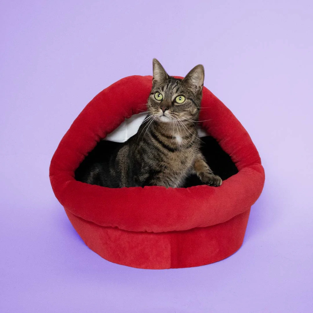  COOCKOO Meow Mouth Plyšový domček pre mačky v tvare úst 36x42x36cm červený