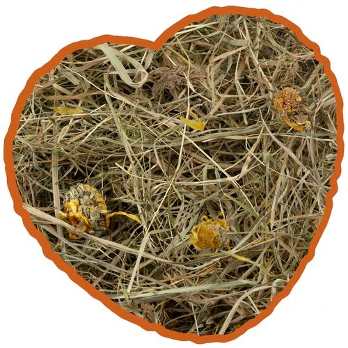 DUVO+ Špeciálne seno s púpavou 1kg