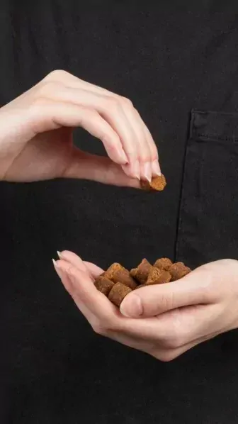 Pamlsky pro psy Snacker Mixtray 7x200g