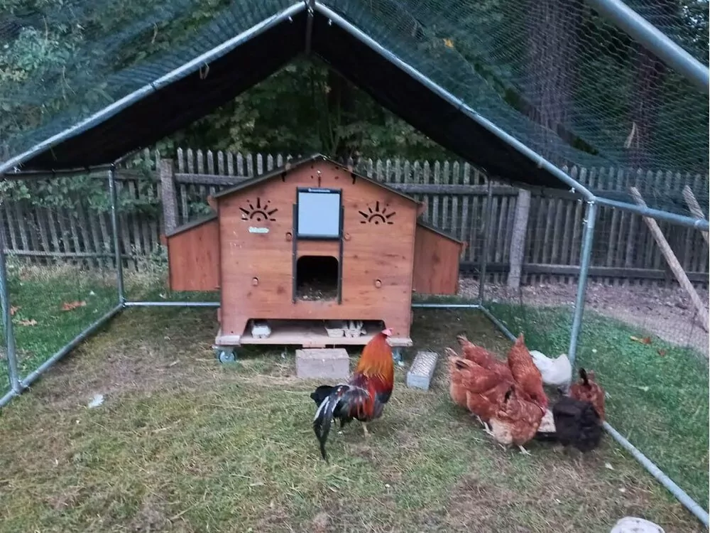 Kurín pre sliepky POLLY CHALET 4XL