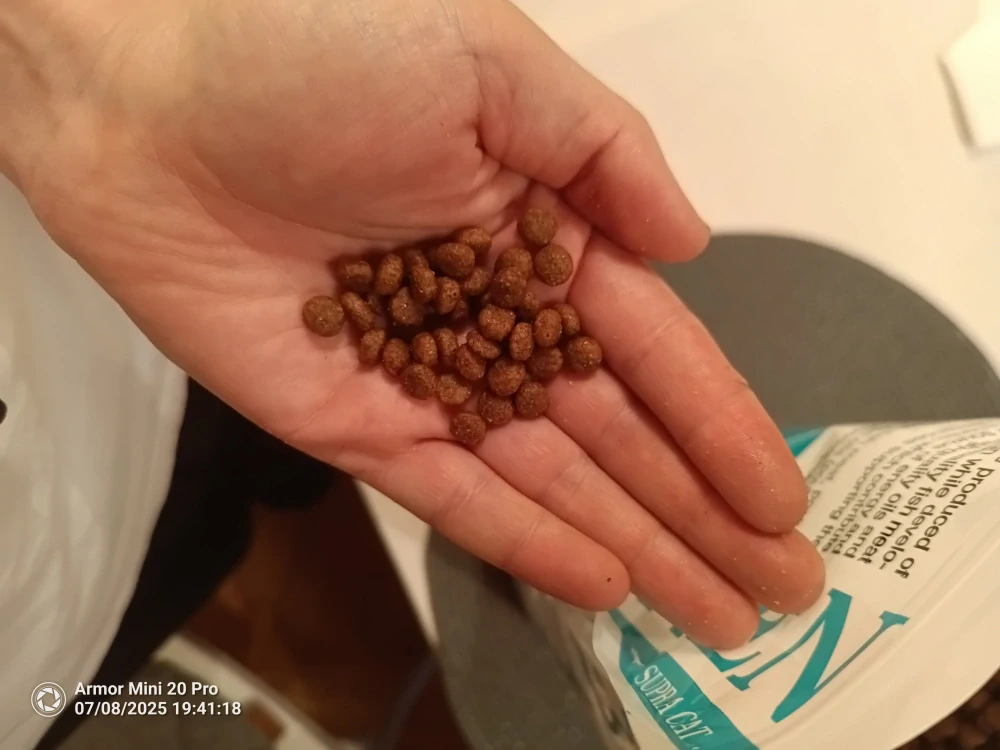 DELIKAN SUPRA CAT Kitten 1,5kg Krmivo určené mačiatkam s hydinovým mäsom a rybou