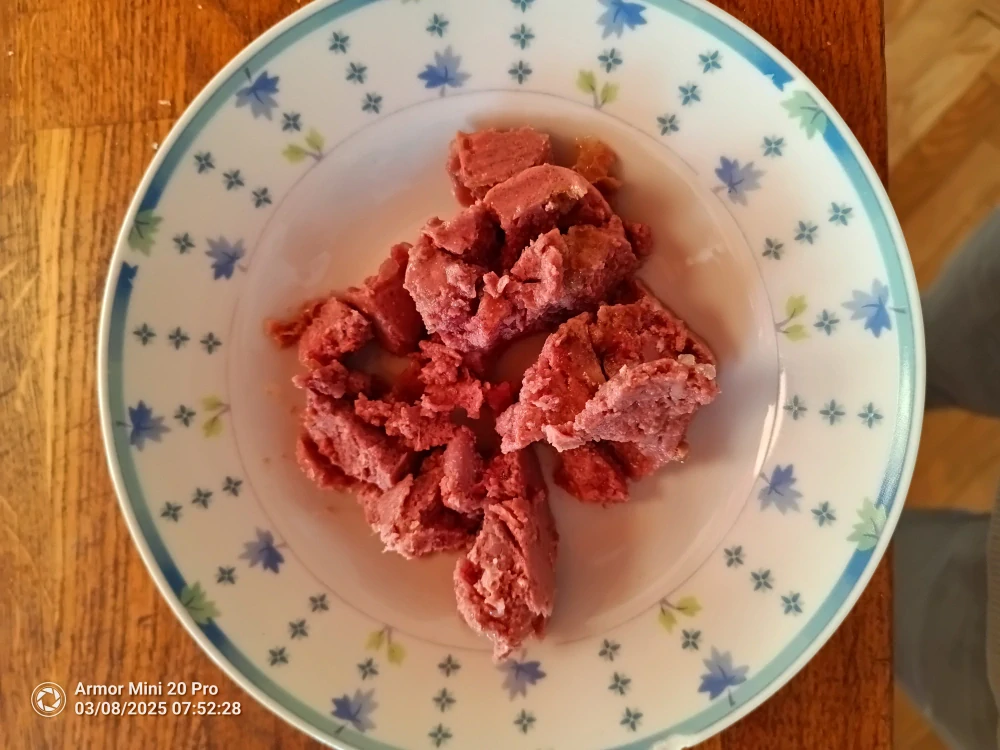 Paštéta pre psov hovädzia 150g