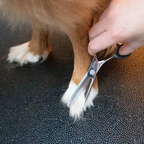 EBI NOIR JAPANDI ergonomické jednostranné efilačné nožnice 17x5,6x1cm